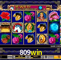 809win Rio de Janeiro - Bonus Terms